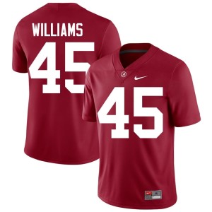 #45 Crimson Tide Jay Williams Crimson Alumni Men's College Football Jerseys 285427-414